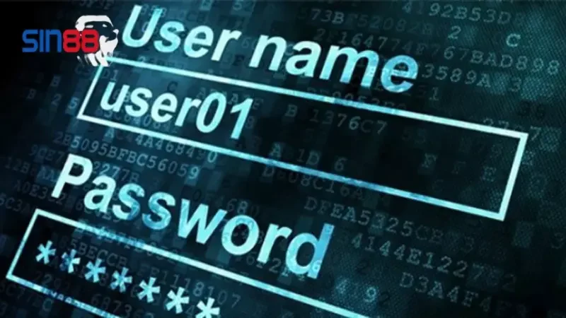 Những thông tin cá nhân nào được thu thập?